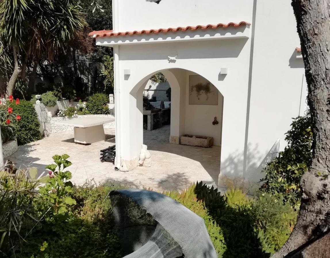 B&B L'Altare Bianco Vieste Eksteriør billede