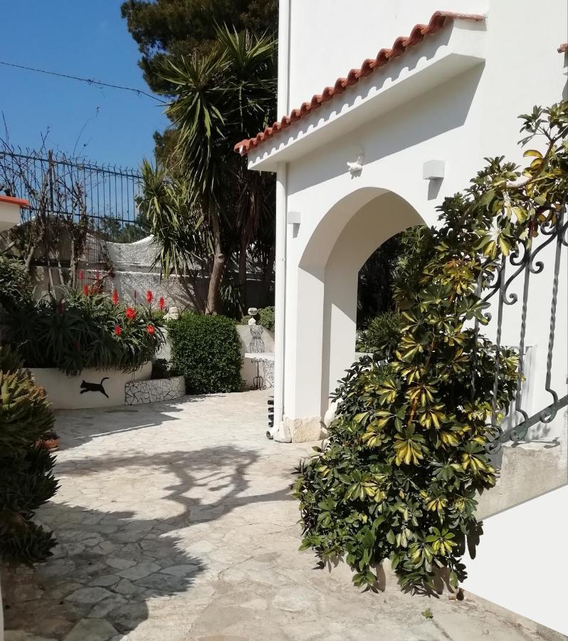 B&B L'Altare Bianco Vieste Eksteriør billede